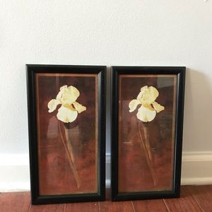 Flower Frame black brown and white- 2 pack